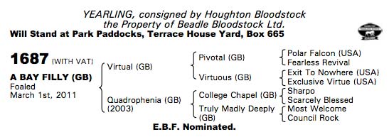 LOT 1687 - Quadrophenia Filly