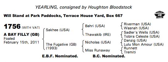 LOT 1756 - Sakhee Filly