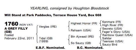 LOT 1760 - Verglas Filly