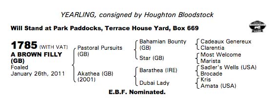 LOT 1785 - Pastoral Pursuits Filly