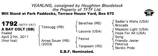 LOT 1792 - Tobougg Colt