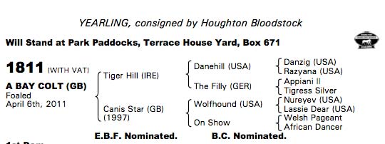 LOT 1811 - Tiger Hill Colt