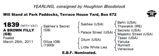 LOT 1839 - Sakhee's Secret Filly