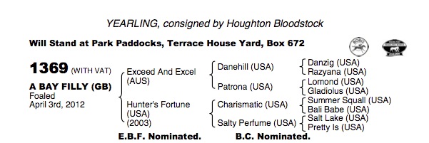 LOT 1369 - Exceed And Excel (AUS) / Hunter's Fortune (USA) B.F.