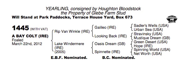 LOT 1445 - Rip Van Winkle (IRE) / Lake Windermere (IRE) B.C.