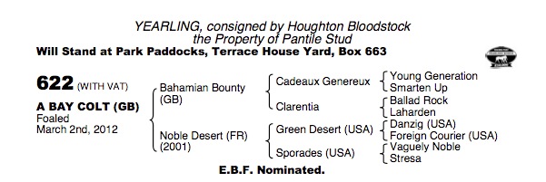 LOT 622 - Bahamian Bounty (GB) / Noble Desert (FR) B.C.