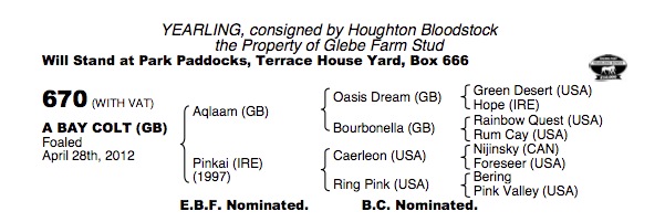 LOT 670 - Aqlaam (GB) / Pinkai (IRE) B.C.