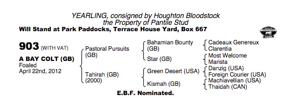 LOT 903 - Pastoral Pursuits (GB) / Tahirah (GB) B.C.

