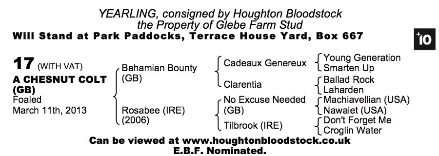Lot 17 - Bahamian Bounty (GB) / Rosabee (IRE) Ch.C.