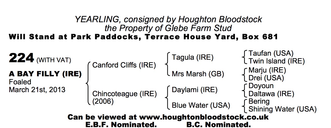 Lot 224 - Canford Cliffs (IRE) / Chincoteague (IRE) B.F. 