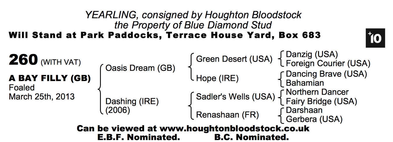 Lot 260 - Oasis Dream (GB) / Dashing (IRE) B.F.