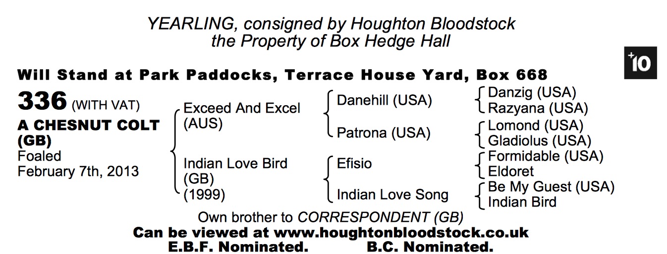 Lot 336 - Exceed And Excel (AUS) / Indian Love Bird (GB) Ch.C. 