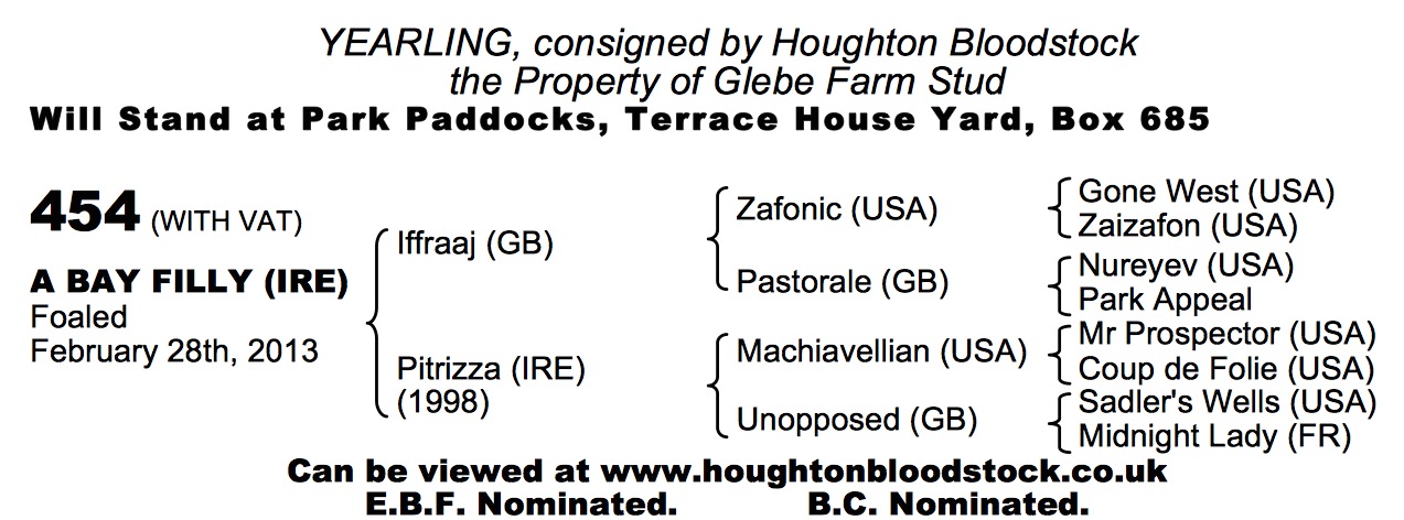Lot 454 - Iffraaj (GB) / Pitrizza (IRE) B.F. 