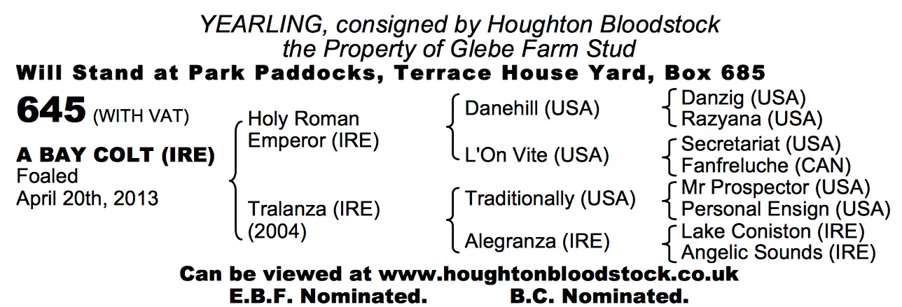 Holy Roman Emperor (IRE) / Tralanza (IRE) B.C.