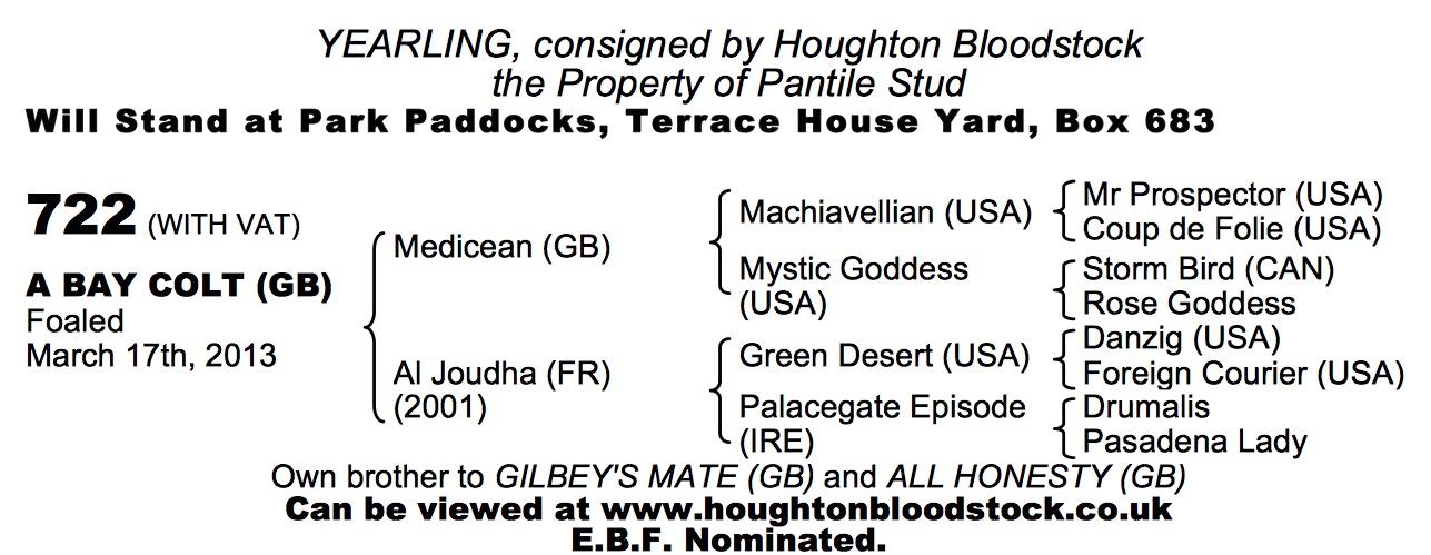 Medicean (GB) / Al Joudha (FR) B.C.