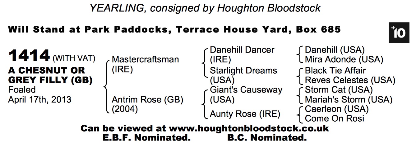 LOT 1414 - Mastercraftsman (IRE) / Antrim Rose (GB) Ch/Gr.F.