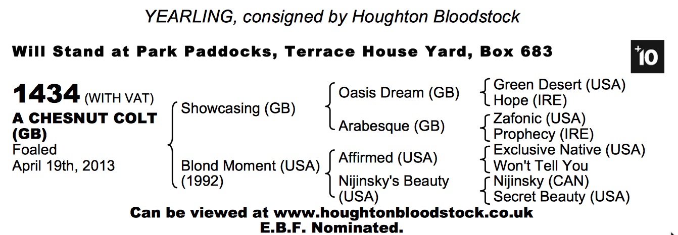 LOT 1434 - Showcasing (GB) / Blond Moment (USA) Ch.C.