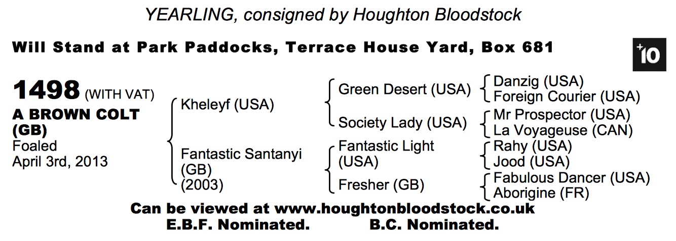 LOT 1498 - Kheleyf (USA) / Fantastic Santanyi (GB) Br.C.