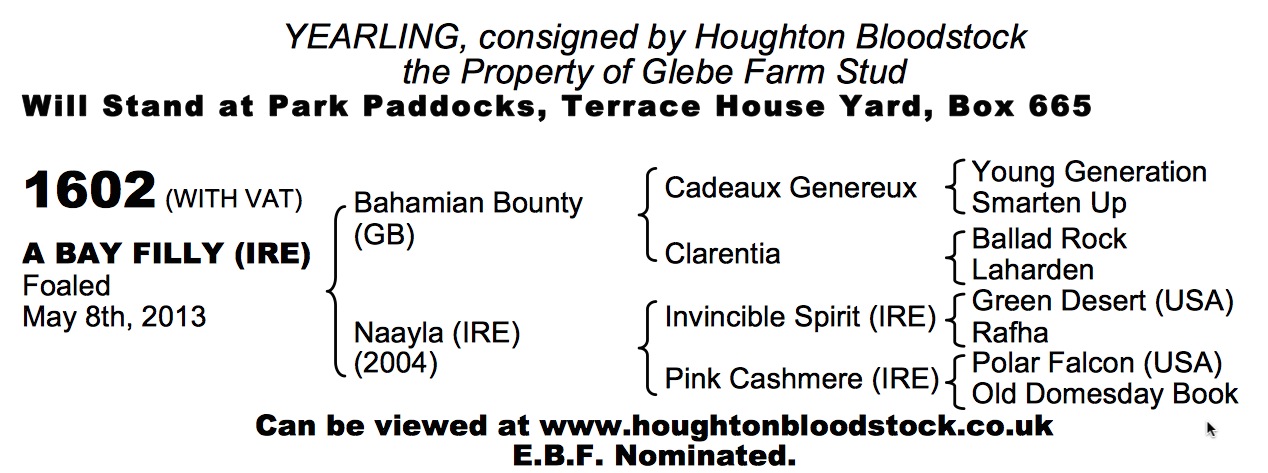 LOT 1602 - Bahamian Bounty (GB) / Naayla (IRE) B.F.