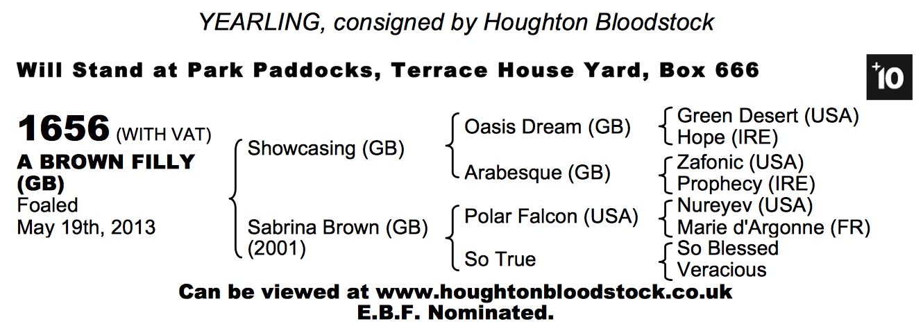LOT 1656 - Showcasing (GB) / Sabrina Brown (GB) Br.F.