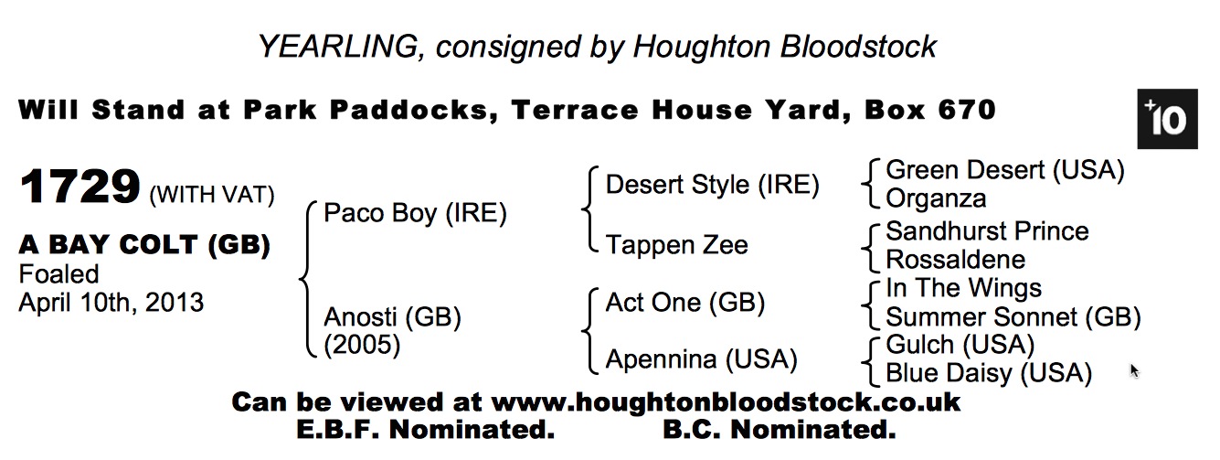 LOT 1729 - Paco Boy (IRE) / Anosti (GB) B.C.