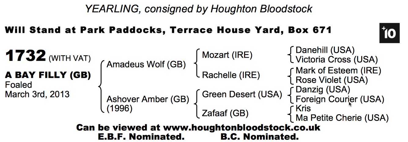 LOT 1732 - Amadeus Wolf (GB) / Ashover Amber (GB) B.F.