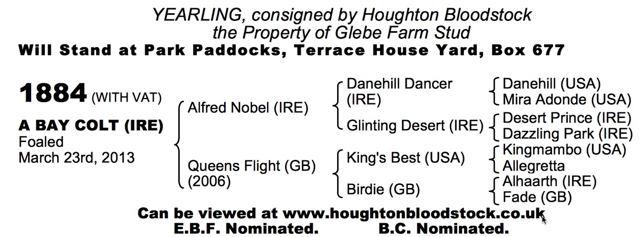 LOT 1884 - Alfred Nobel (IRE) / Queens Flight (GB) B.C.