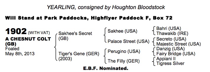 LOT 1902 - Sakhee's Secret (GB) / Tiger's Gene (GER) Ch.C.