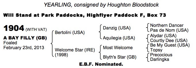 LOT 1902 - Sakhee's Secret (GB) / Tiger's Gene (GER) Ch.C.