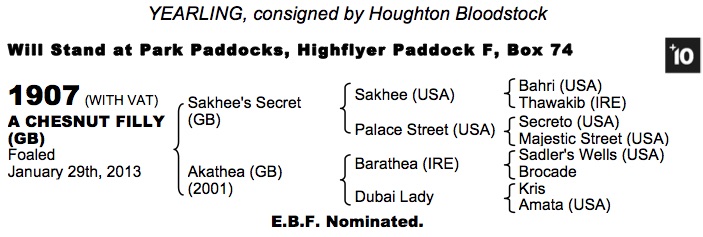 LOT 1907 - Sakhee's Secret (GB) / Akathea (GB) Ch.F.