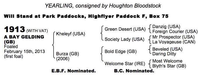 LOT 1913 - Kheleyf (USA) / Burza (GB) B.G.