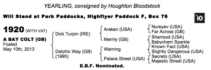 LOT 1920 - Dick Turpin (IRE) / Delphic Way (GB) B.C.