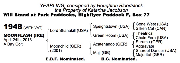 LOT 1948 - Moonflash (IRE) B.C. by Lord Shanakill (USA) x Moonchild (GER)