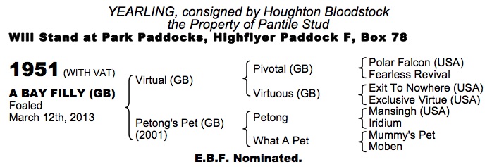 LOT 1951 - Virtual (GB) / Petong's Pet (GB) B.F.