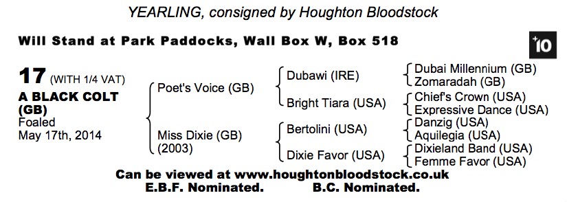 Lot 17 - Poet's Voice (GB) / Miss Dixie (GB) Bl.C