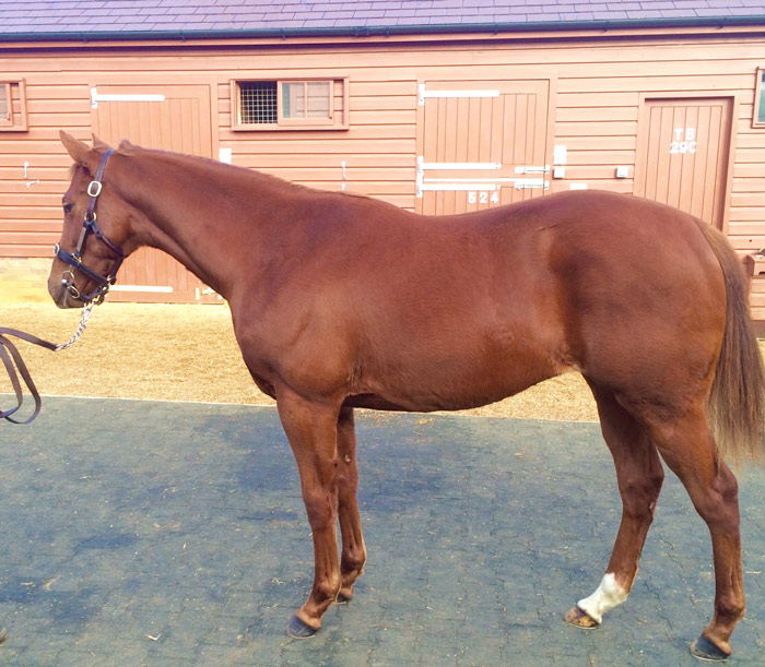 Lot 185