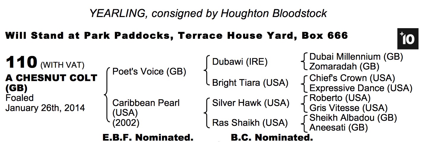 Lot 110 - Poet's Voice (GB) / Caribbean Pearl (USA) Ch.C