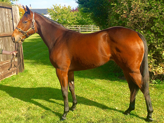 Lot 124 - Acclamation (GB) / Choral (GB) B.F 