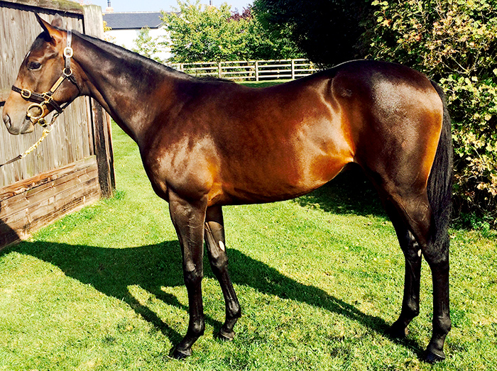 Lot 200