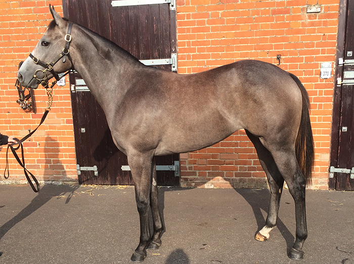 lot 347 