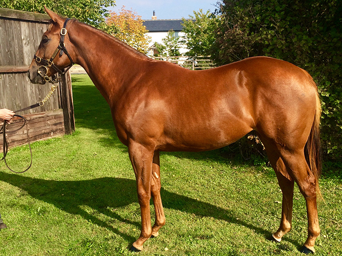 lot 370