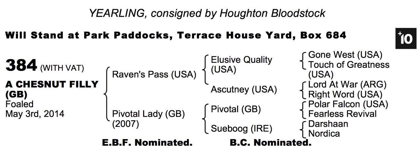 Lot 384 - Raven's Pass (USA) / Pivotal Lady (GB) Ch.F.