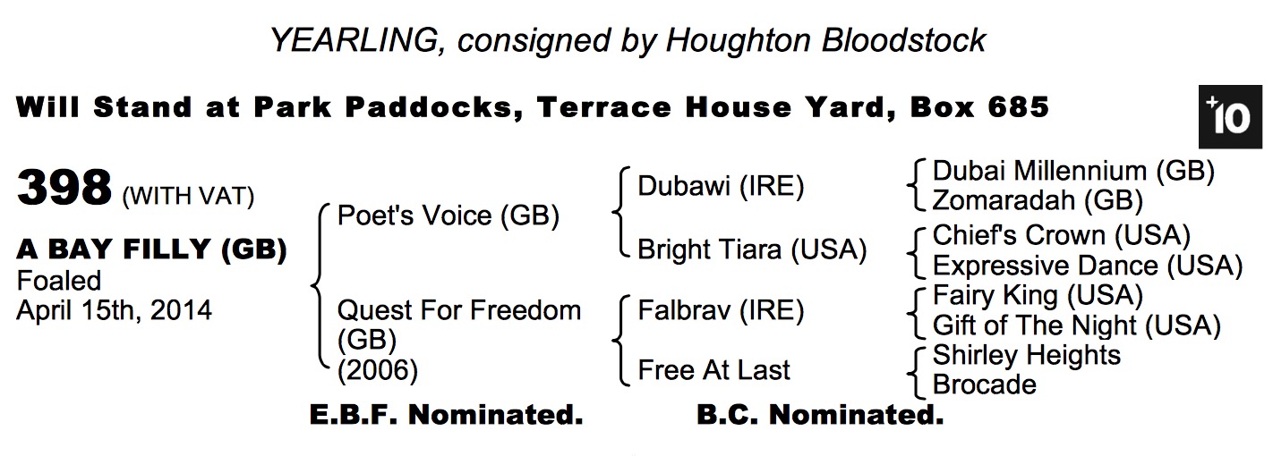 Lot 398 - Poet's Voice (GB) / Quest For Freedom (GB) B.F.