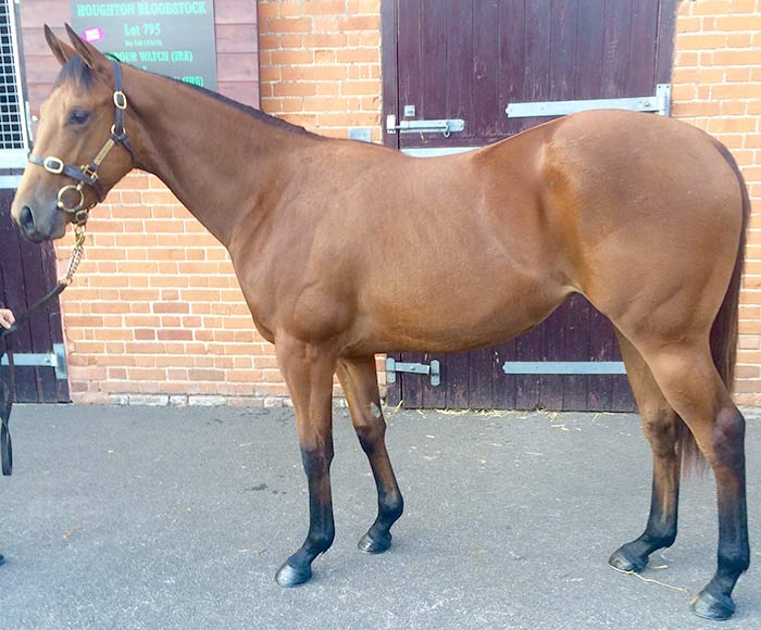 LOT 1147 - Poet's Voice (GB) / Palais Polaire (GB) B.F.