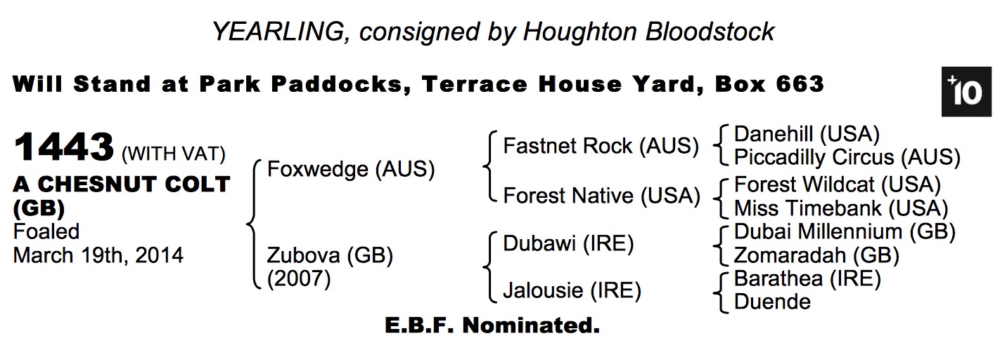 LOT 1367 Royal Applause (GB) / The Fugative (GB) B.C.
