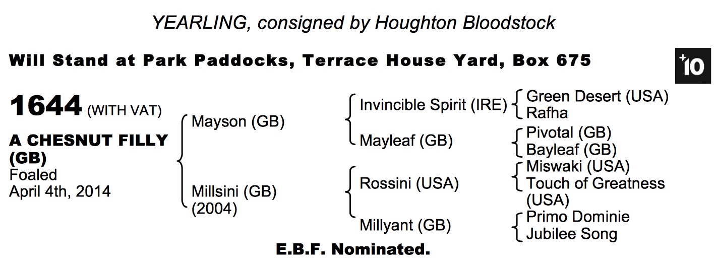 LOT 1426 - Kheleyf (USA) / Baddi Heights (FR) Ch.F.