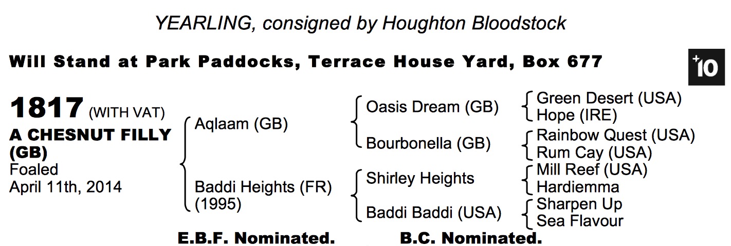 LOT 1817 - Aqlaam (GB) / Baddi Heights (FR) Ch.F.