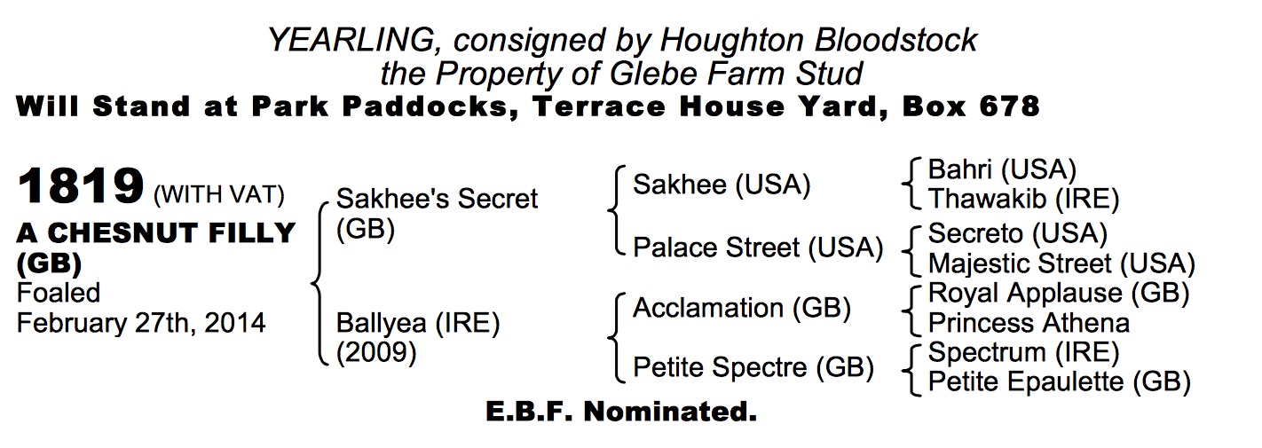 LOT 1819 -  Sakhee's Secret (GB) / Ballyea (IRE) Ch.F.