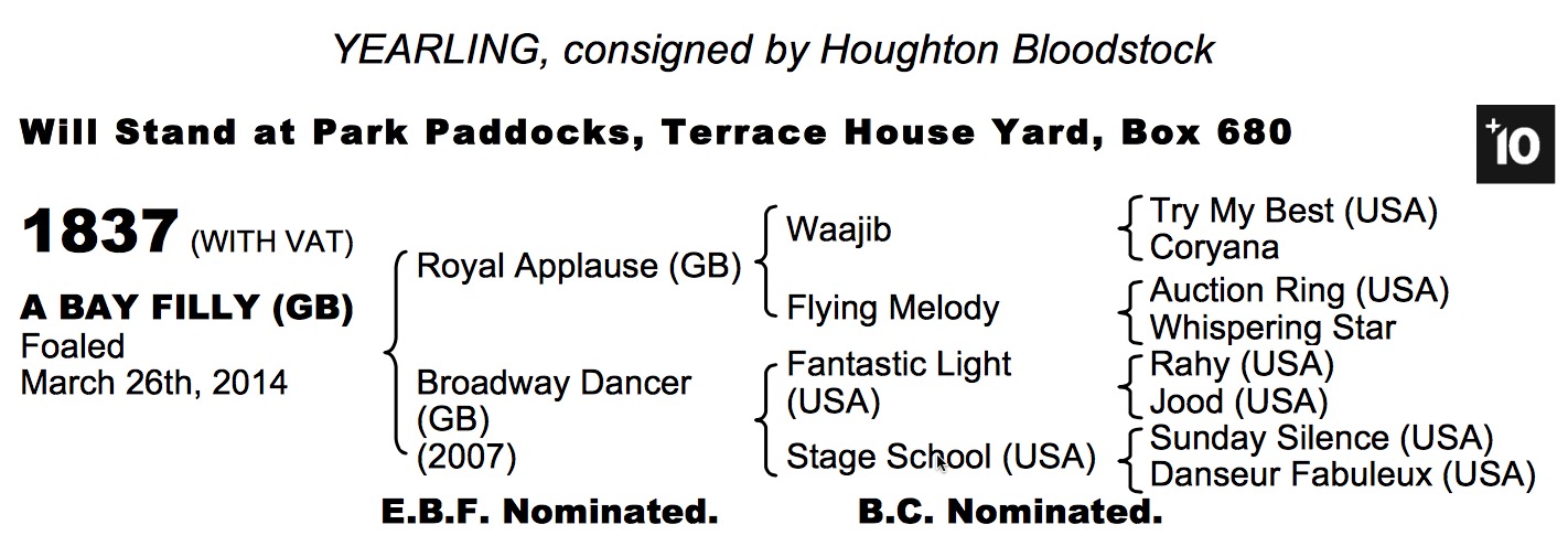 LOT 1837 - Royal Applause (GB) / Broadway Dancer (GB) B.F.
