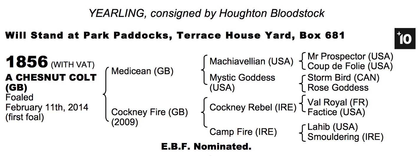 LOT 1856 - Medicean (GB) / Cockney Fire (GB) Ch.C.
